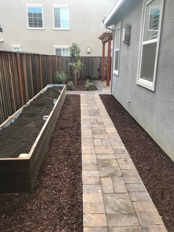 Backyard Patio with Pergola