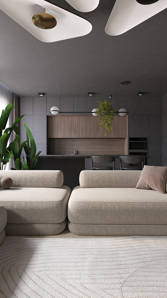 проект кухни-гостинной