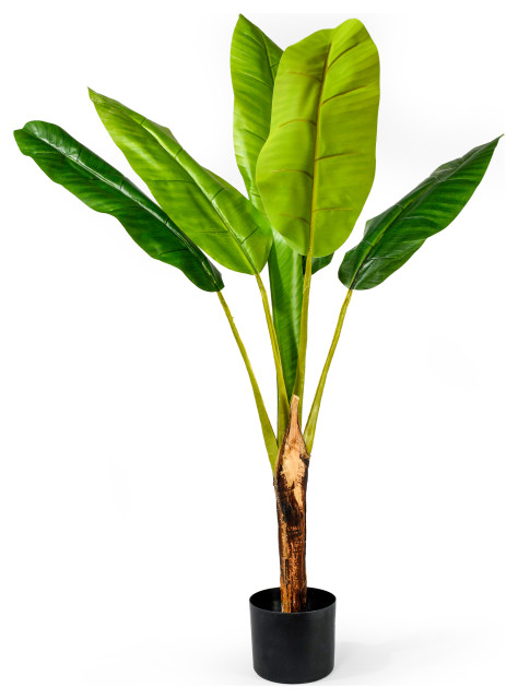 Tropical Banana Tree Plant,49.5
