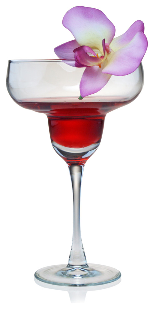 Susquehanna Glass 14.5-oz Margarita Glasses (Set of 4)