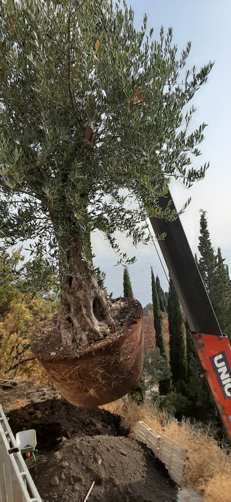 Ландшафтный дизайн