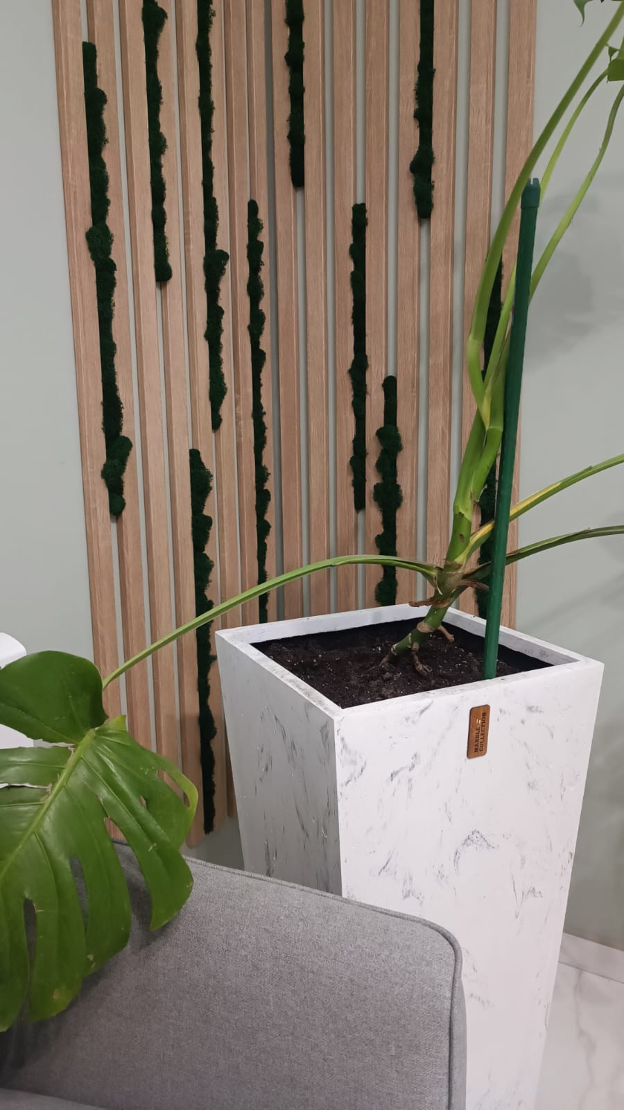 Природные текстуры в дизайне