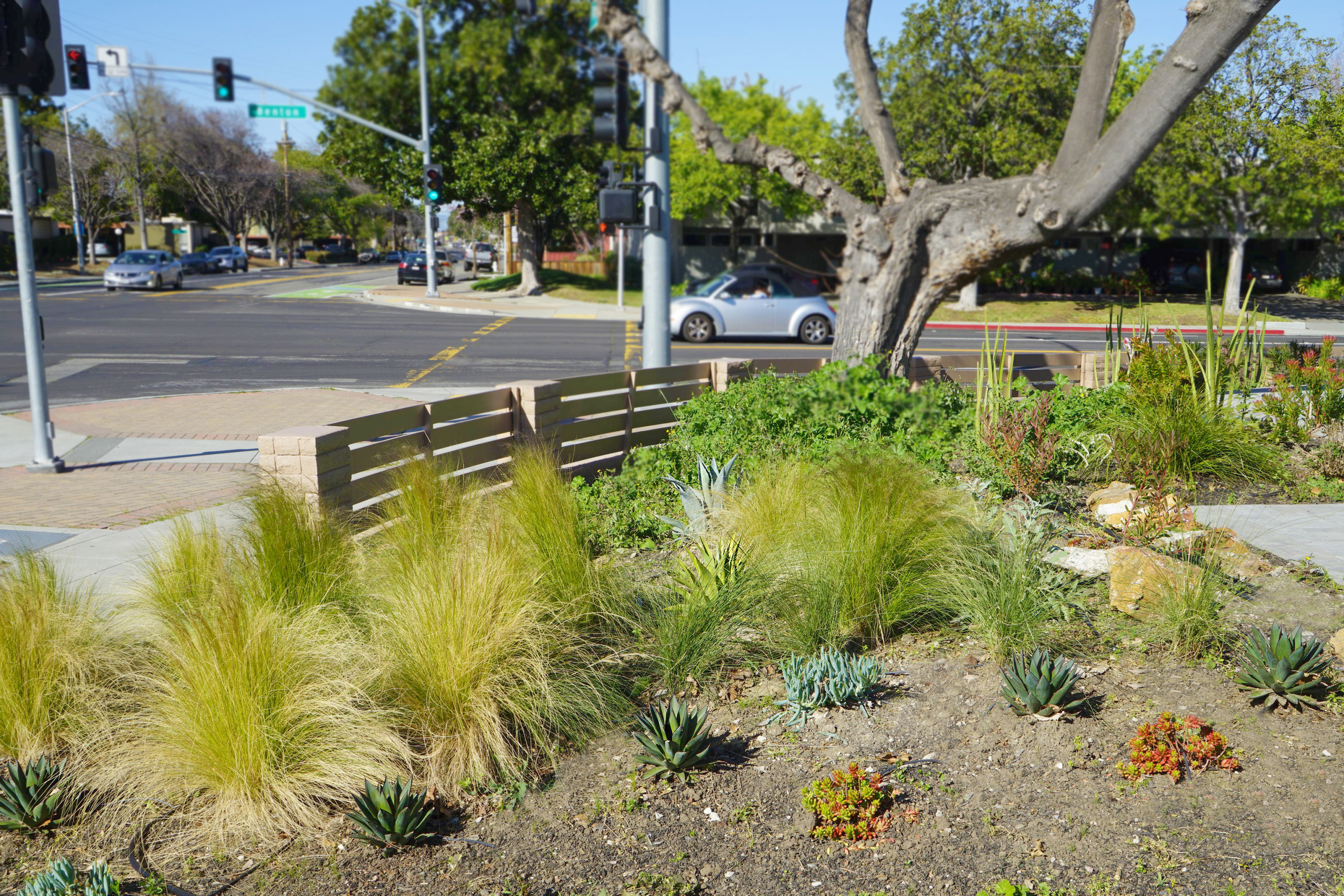 "0" Maintenance Garden at Pomeroy