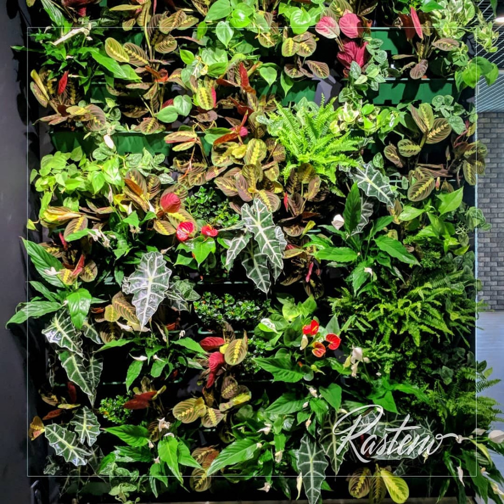 Вертикальное озеленение. Живая фитостена с автополивом.