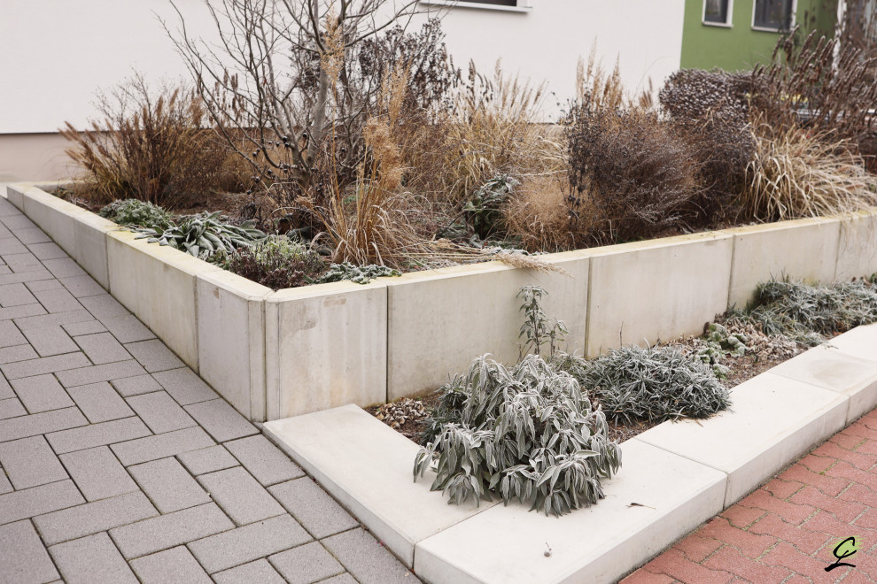 Foto di un giardino contemporaneo esposto in pieno sole di medie dimensioni e davanti casa in inverno con pavimentazioni in cemento