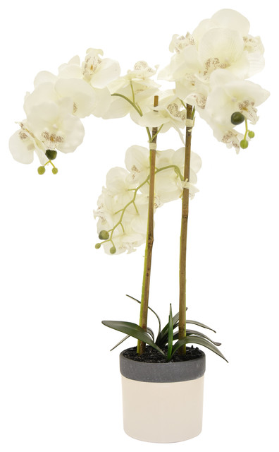 Three Hands 39264 White Faux Orchid Flower Pot Contemporary Three Hands 39264 White Faux Orchid Flower Pot