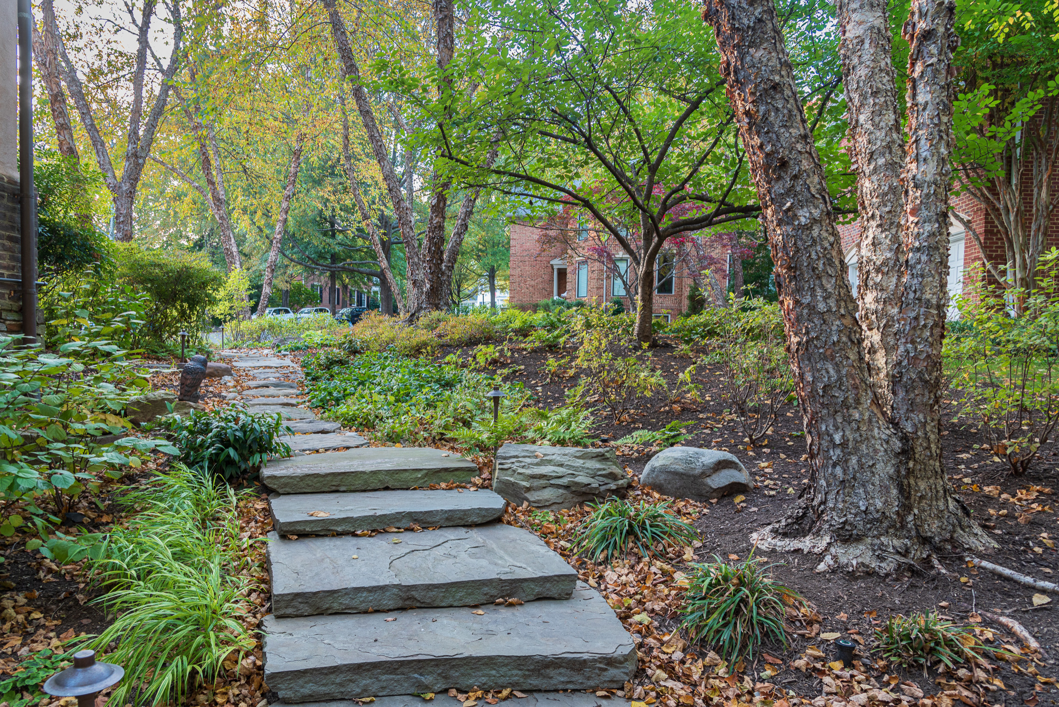 Arlington Woodland Garden