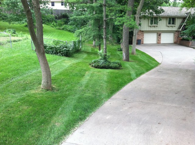 Lawn and Landscapes traditional-garden