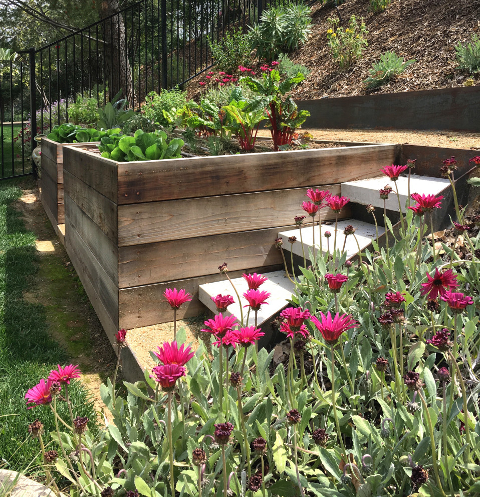 Foto di un grande giardino minimal esposto in pieno sole davanti casa in primavera con pavimentazioni in cemento e recinzione in metallo