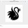 Black swan designz