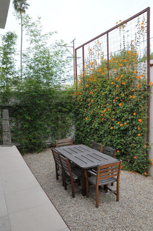 If you like things to be a bit more verdant, you can go with a living screen option. This idea is a simple wooden frame with a wire grid for vines to climb. It may take a while for this wall to build itself, but with the new life brought your yard, the wait is well worth it.
