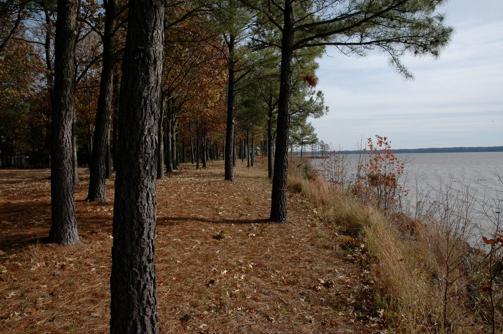 Dancing Point | Charles City County, VA