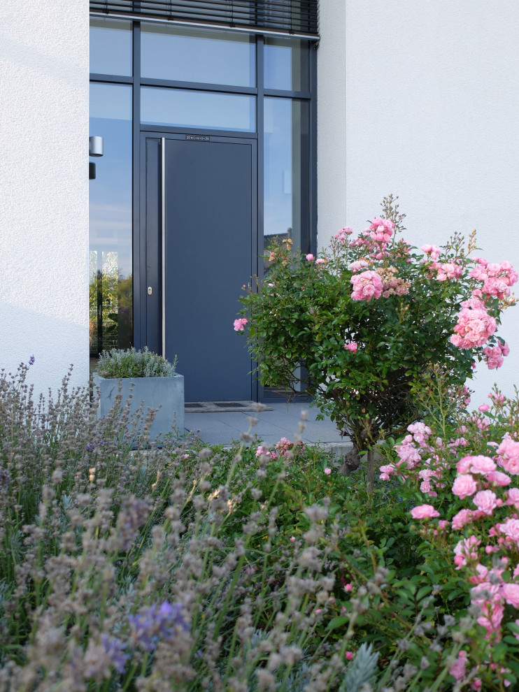 Geometrischer, Kleiner Moderner Vorgarten im Sommer mit direkter Sonneneinstrahlung in Bonn