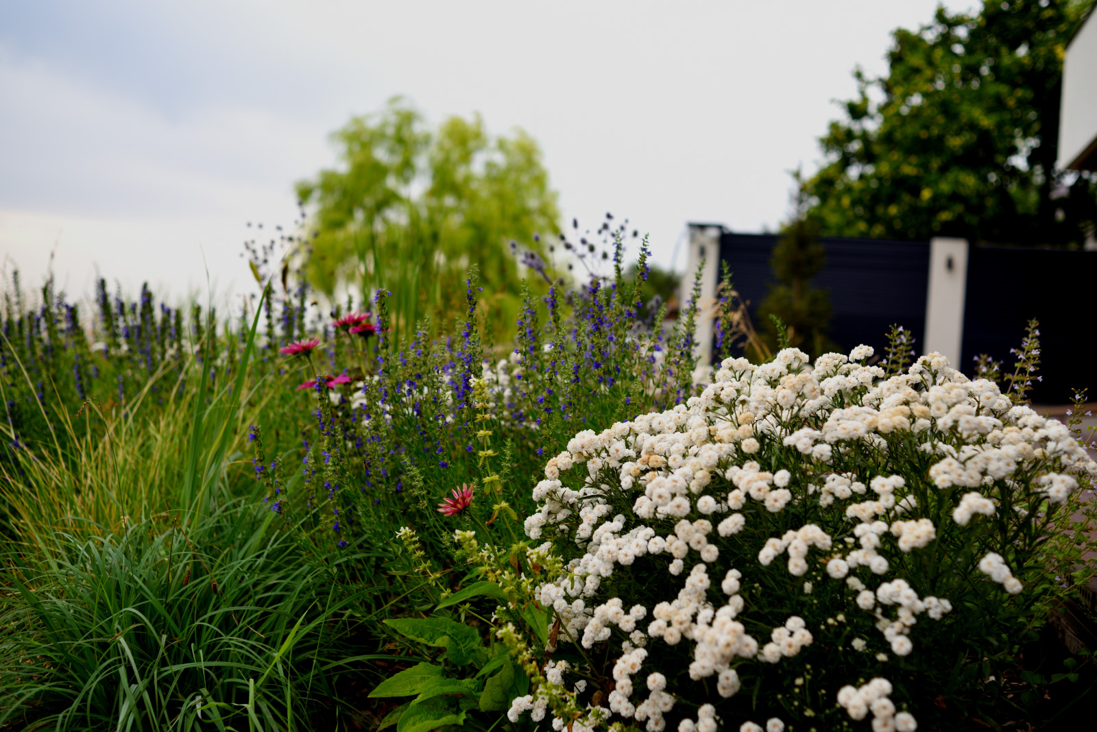 Сад с видом на Волгу