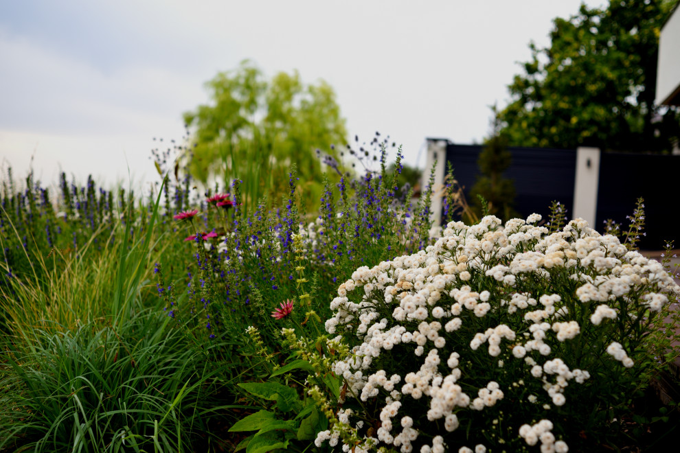 Сад с видом на Волгу