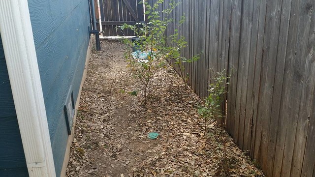 Side Yard Pathway transitional