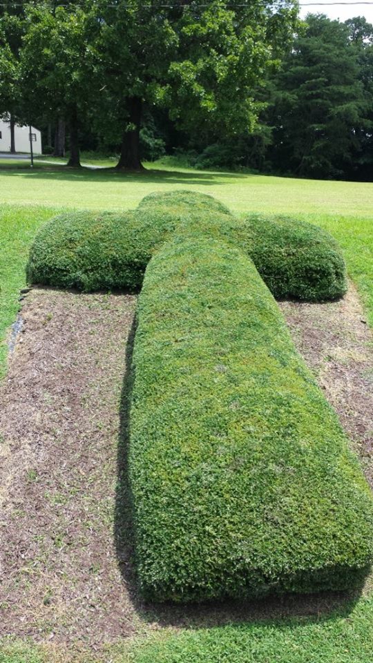 Photo of a small full sun front yard garden path in Charlotte.