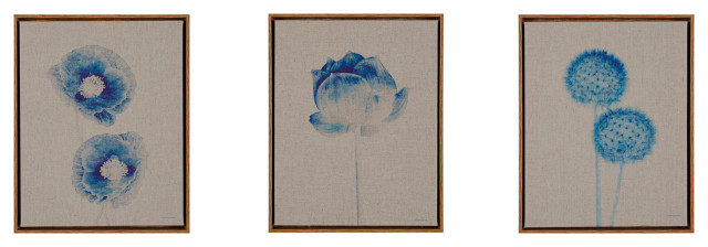 Madison Park 3-Piece Blue Print Botanicals Framed Printed Canvas On Linen