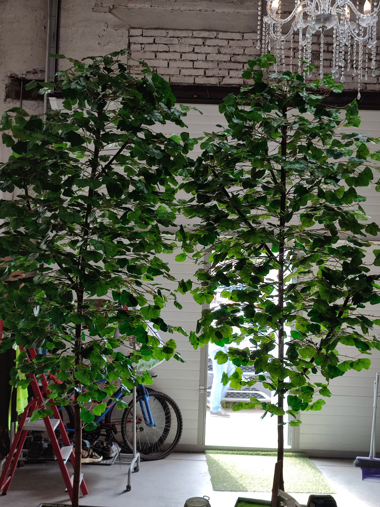 Дерево Гинко для LOGO