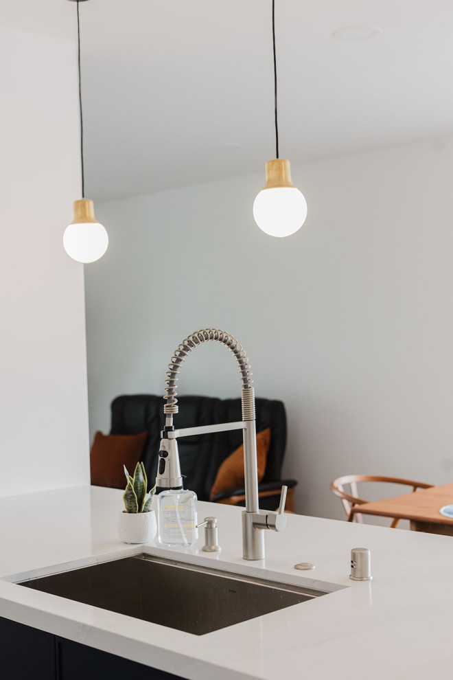 Contemporary Condo Remodel