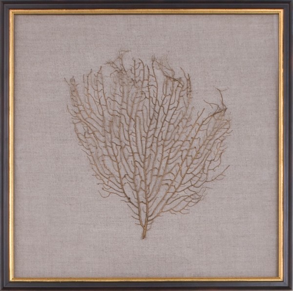 Mirror Image 30007 Natural Coral Sea Fan Finished, Gold Framed Art