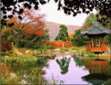 Hanwoori Garden Project