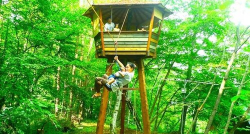 Adventure time tree house layout Adventure time tree house layout