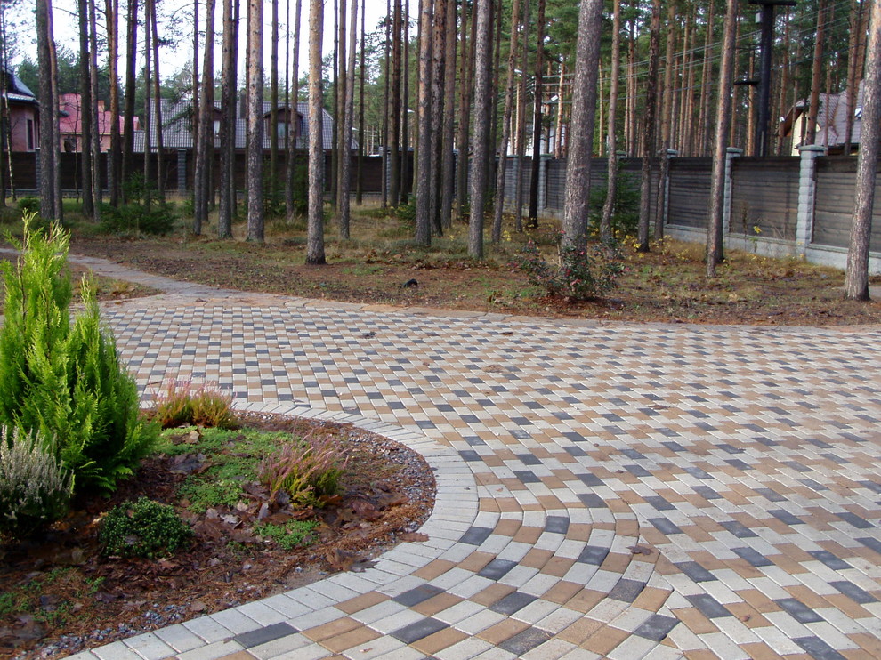 лесная зона