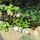 christine_staub66