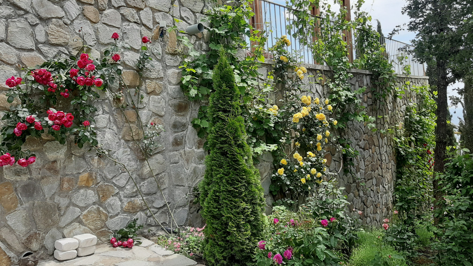 Ландшафтный дизайн