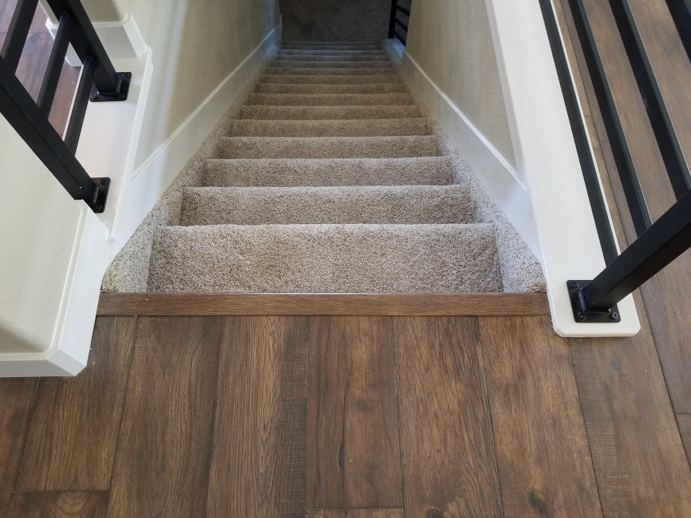 Project Canyon Vista