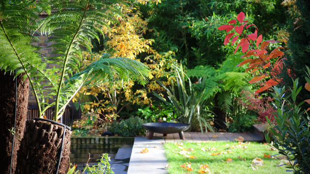 LONDON - Notting Hill tropical-garden