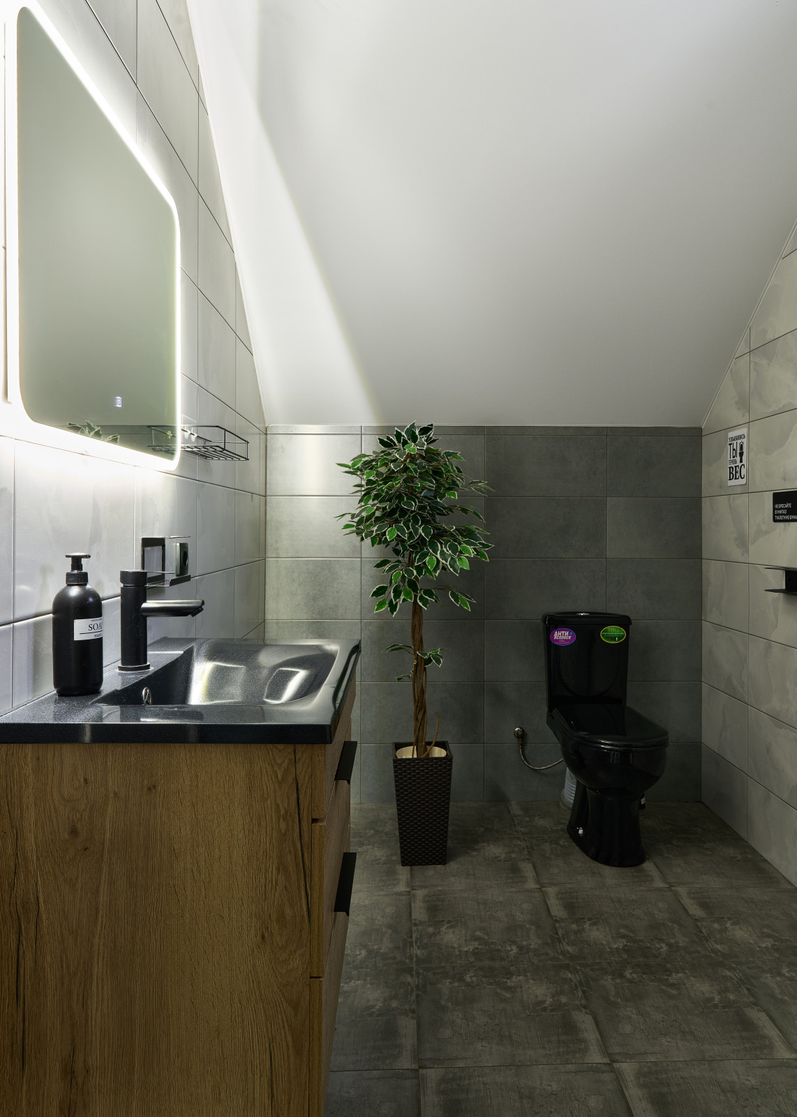 Съемка дома для отдыха. Крокусы. Санкт-Петербург