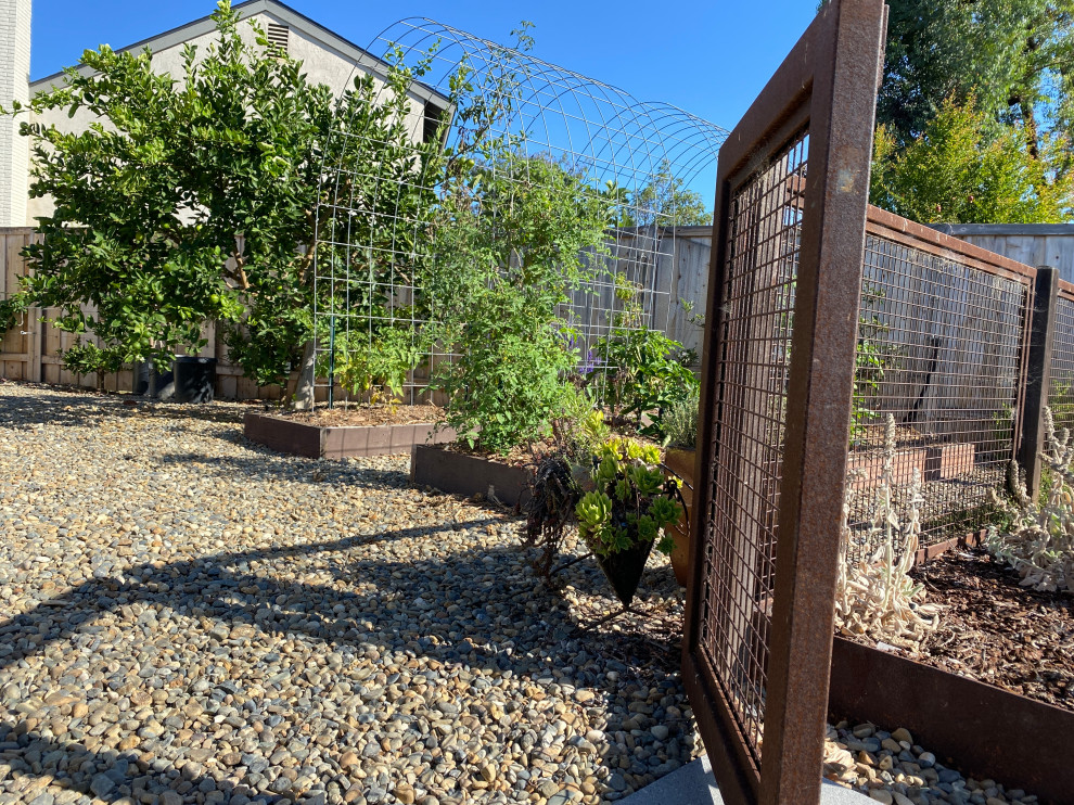На фото: огород на участке на боковом дворе в стиле модернизм с полуденной тенью, мощением тротуарной плиткой и с металлическим забором