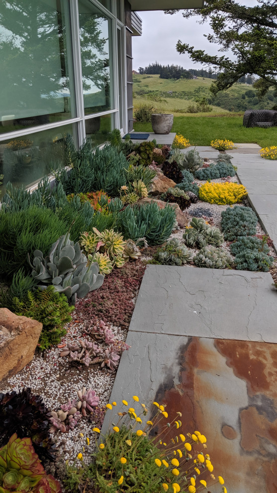 Inspiration for a mid-sized contemporary backyard full sun xeriscape in San Francisco with with flowerbed and natural stone pavers.