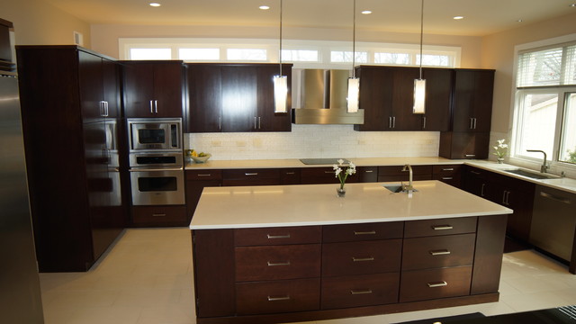 Oakbrook Kitchen & Baths trendy-koekken