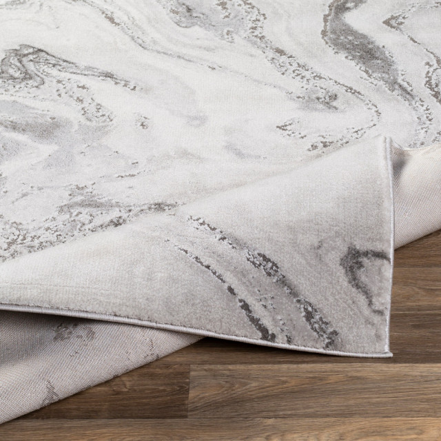 Anissa Area Rug, 5'3