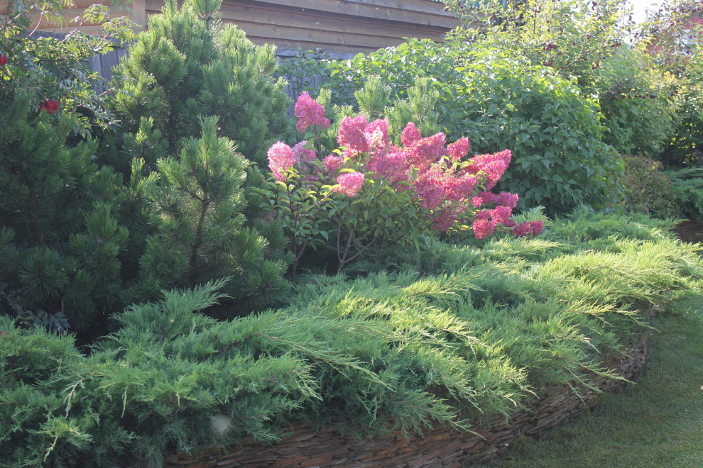 В гостях у Сказки