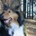 satomi_murakami_meding