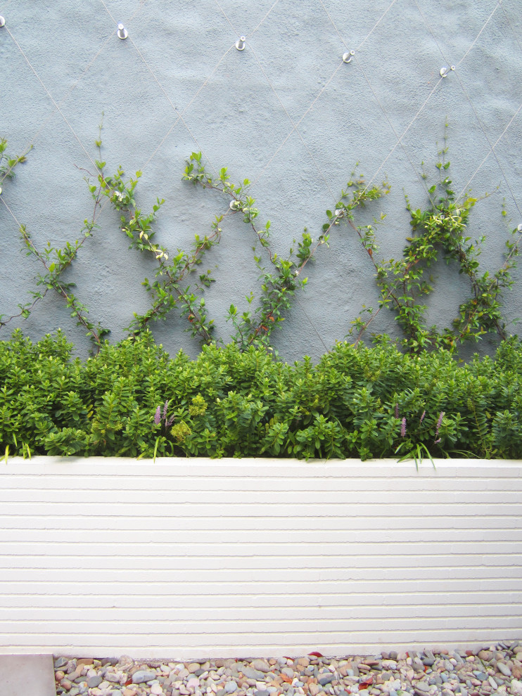 Foto di un giardino moderno esposto a mezz'ombra nel cortile laterale con un muro di contenimento