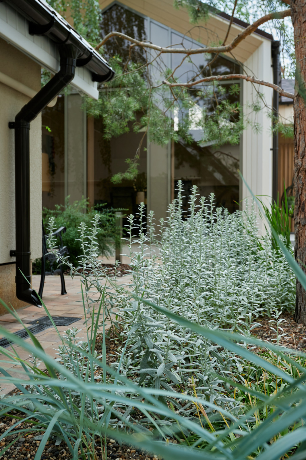 Проект "Современный сад"