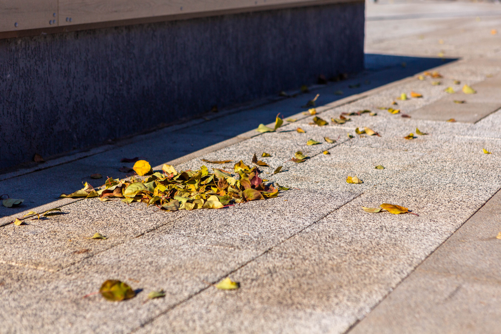 Набережная на бульваре Гагарина в Иркутске