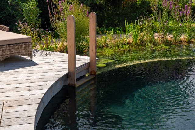 Marlow Natural Pool contemporary-pools-and-hot-tubs