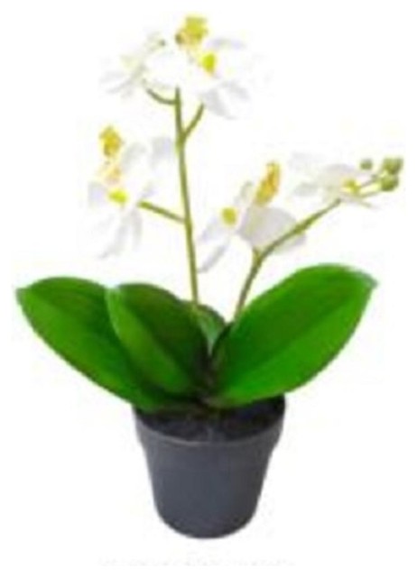16.5" Tropical Artificial Flowering White Orchid Plant in Pot