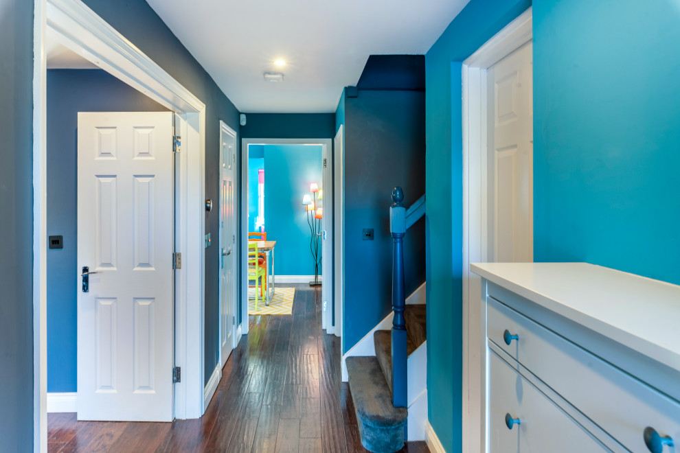 Пример оригинального дизайна: узкая прихожая среднего размера со шкафом для обуви в современном стиле с синими стенами, темным паркетным полом, одностворчатой входной дверью, синей входной дверью и коричневым полом
