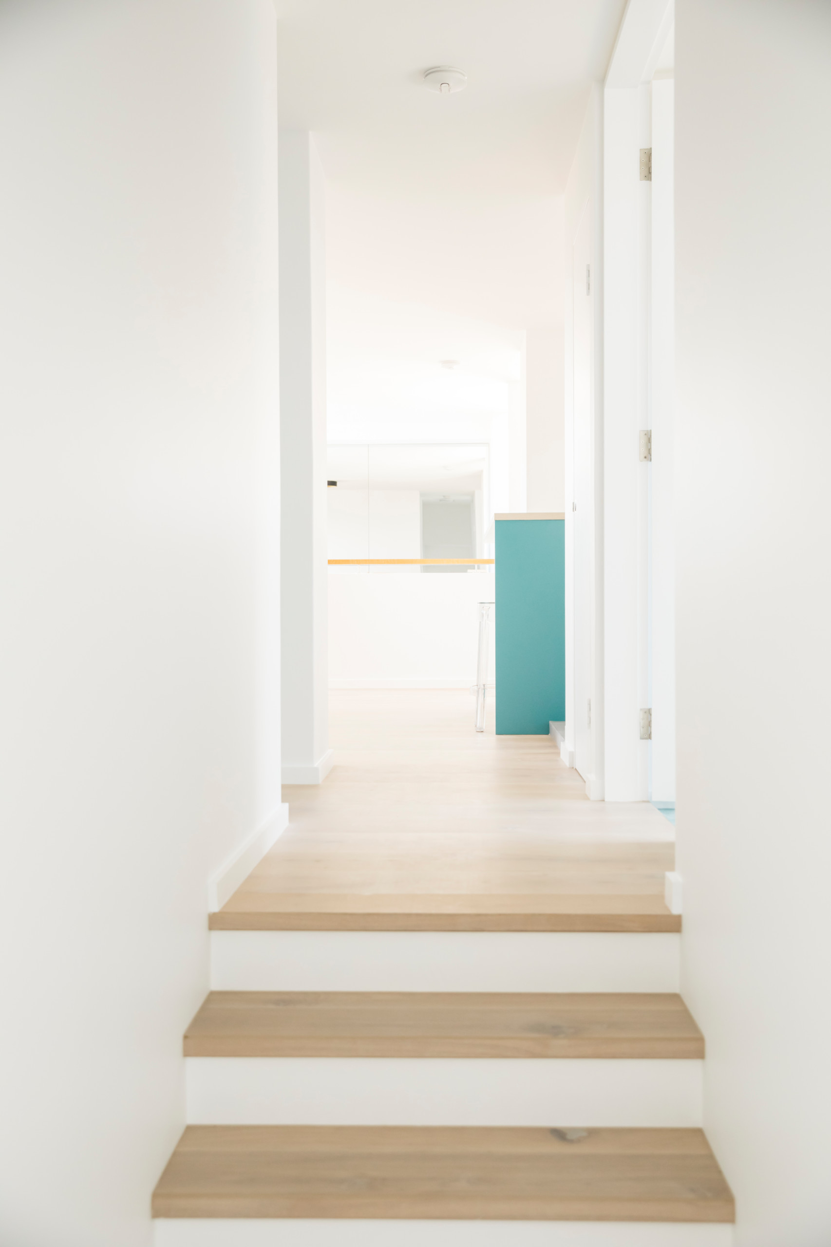 Westleigh Wonder - Neutral Bay