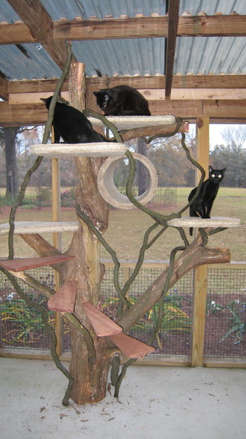 Reader Pet Projects 