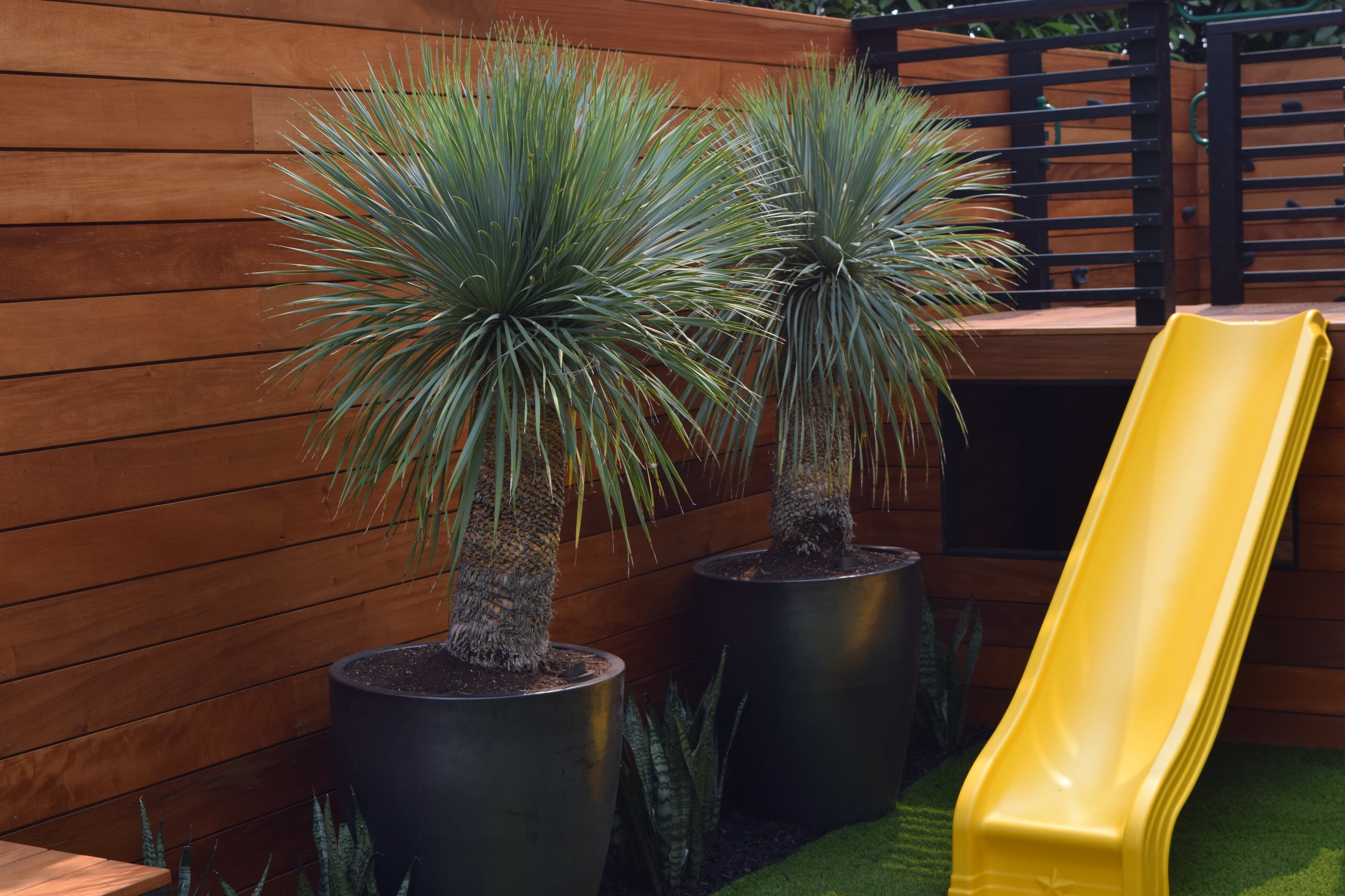 Mid-Century Modern Backyard -  Oakland