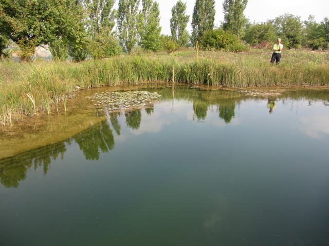 BioNova Natural Swimming Pools - International swimming-pool-and-hot-tub