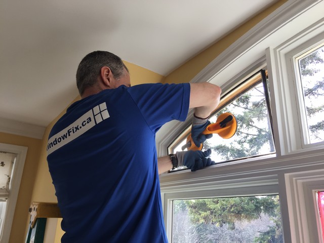Curved Glass Replacement 